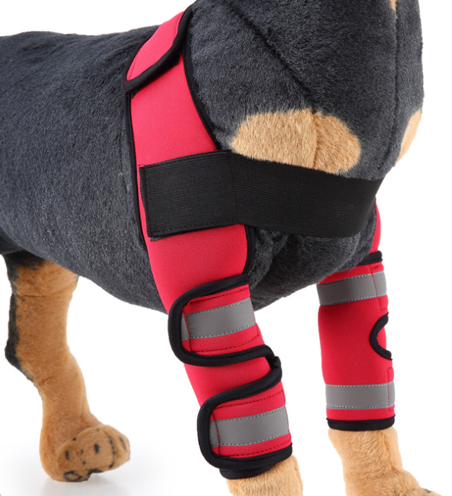 Guardian Pet Knee Support System